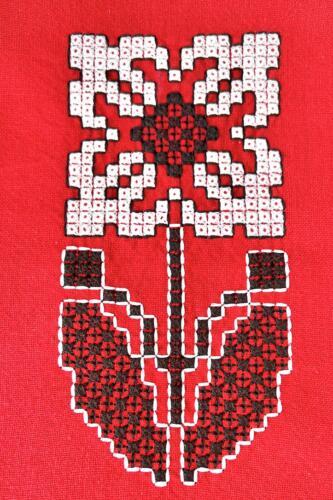 Ukrainian Pyvyshanka embroidery