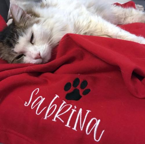 Customized Pet Blanket